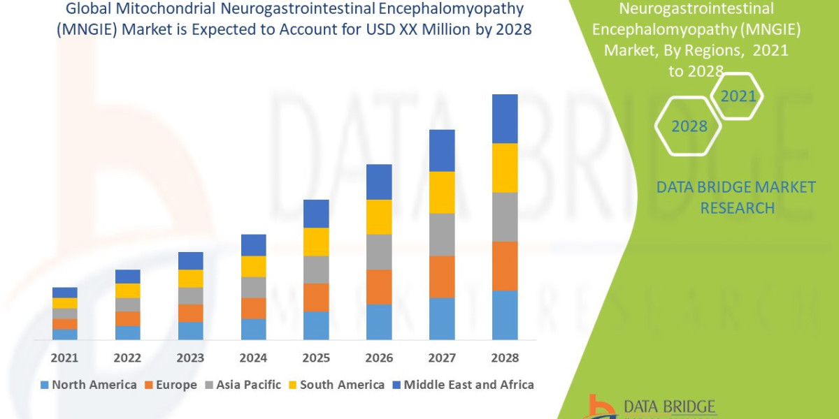 Mitochondrial Neurogastrointestinal Encephalomyopathy Market Research Overview
