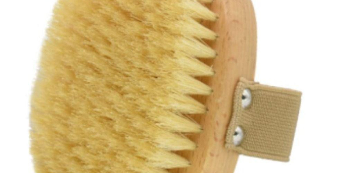 Pawtechpet Pet Brush Offering Gentle, Efficient Grooming